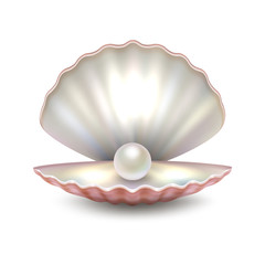 Realistic vector beautiful natural open sea pearl shell closeup isolated on white background. Design template, clipart, icon or mockup in EPS10.