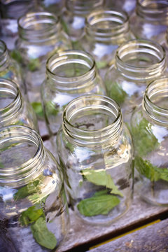 Jars of Basil