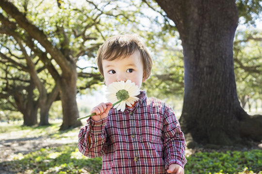 Curious little boy, smelling a flower at a park