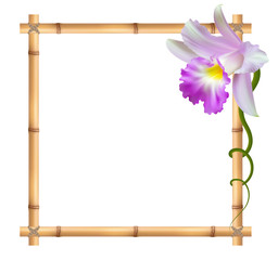 Реалистичная орхидея, квадратная рамка из бамбука.