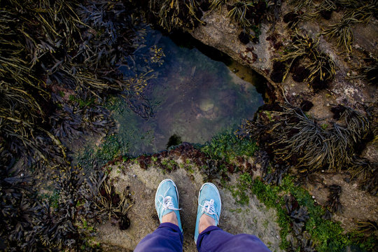 A person standing on slippery rocks covered with seaweed and moss 