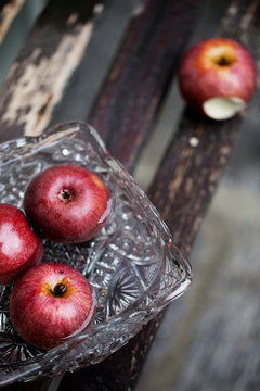 High angle view of apples in water in bowl on wooden bench in garden
