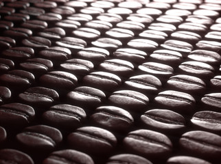 Roasted coffee beans, organized for the best selection.