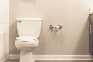 Close-up of white flush toilet bowl  and empty roll on toilet paper holder. Empty toilet paper roll...