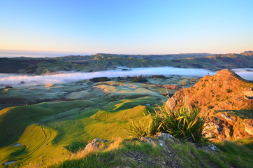 Morning at Te Mata, New Zealand