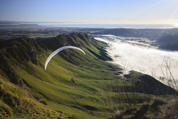 Morning at Te Mata, New Zealand