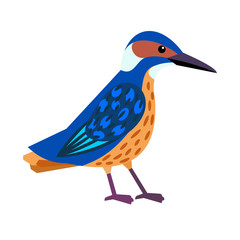Kingfisher -  small bird with bright color, straight pointed beak and short tail