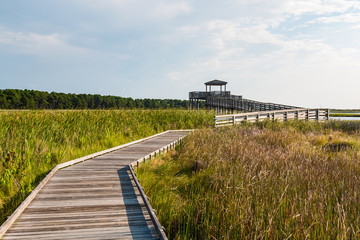 Boardwalk through marshland leading to the observation point on the grounds of the Bodie Island...