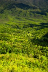 Spring, Foothills Parkway