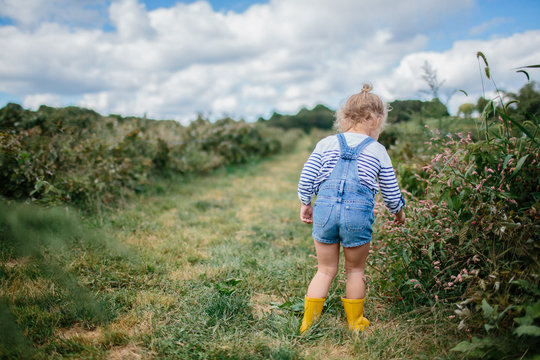 little girl picking raspberries in overalls and boots