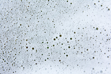 White water bubbles background or texture