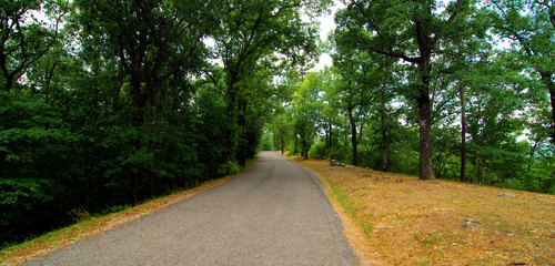Oak Mountain Drive / View from Oak Mountain State Park near Birmingham, Alabama
