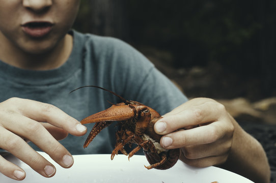 Local Boy - Crawdad LP Rope main image 1