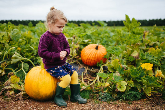 little girl pouting in a pumpkin patch