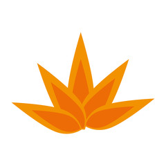 fire flame icon over white background vector illustration