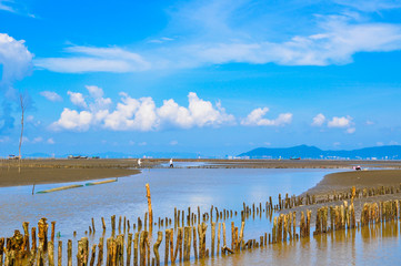 Obraz premium A coastal suburban district of Ho Chi Minh City, Vietnam. With white sandy, delicious seafoods, Can Gio is a popurlar beach to relax at weekends of people near Ho Chi Minh city.