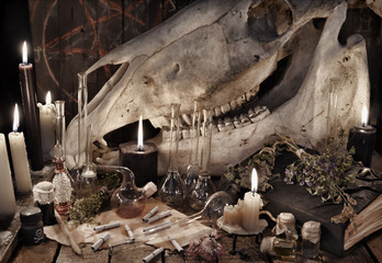 Black candles, scary skull, manuscripts and herbs. Mystic Halloween still life 