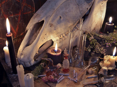 Witch table with black candle, horse skull, magic bottles and paper scrolls. Mystic Halloween still life 