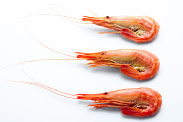 Three prawns on a white background.