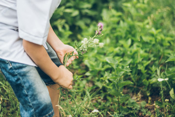 boy gathering field flowers in the park