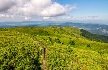 Fototapeta premium path through the mountain ridge in summer