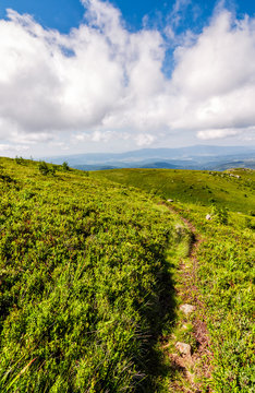 path through the mountain ridge in summer