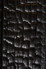 wooden burnt texture