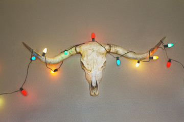 A longhorn skull hung on a wall is decorated with Christmas lights