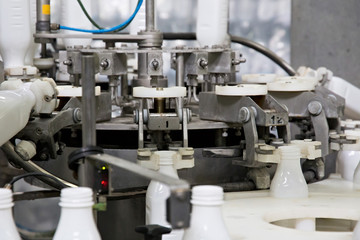 Industrial dairy production. Part of automatic conveyor with bottles for milk.