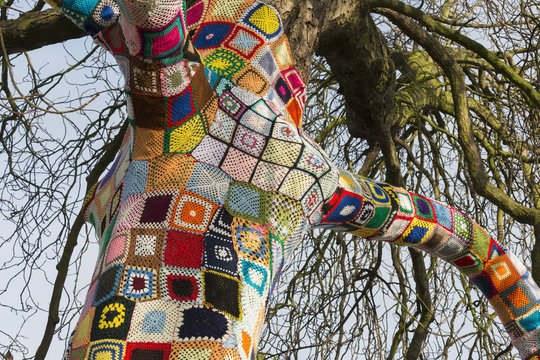 Trunk and branches of a Yarn bombed tree. 1,500 crocheted  squares 