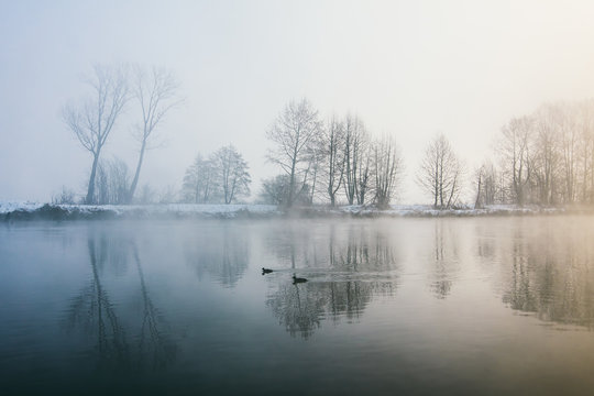 Landscape in the mist of dawn