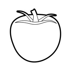 tomato vector illustration