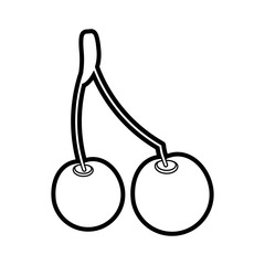 cherry vector illustration