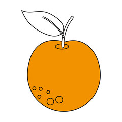 orange vector illustration