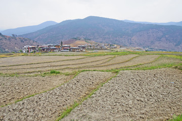 ブータンの農村の風景