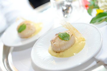 closeup of seared scallops