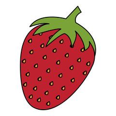 strawberry fresh isolated icon vector illustration design