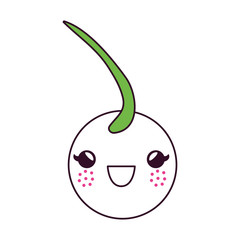 delicious cherry fruit kawaii character vector illustration design