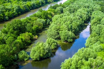 Flooded forests near river Danube,  Slovakia