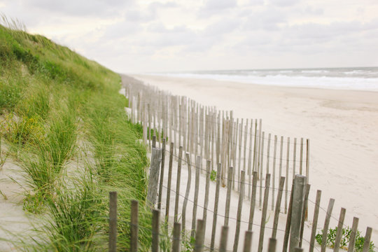 wooden fences along sand dunes on the beach