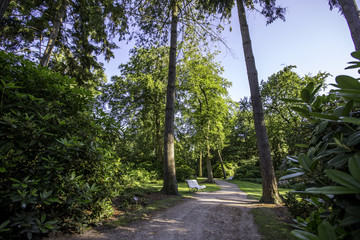 Weg im Rhododendronpark in Graal-Müritz
