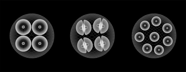 stem cell part 2 vector © gritsalak