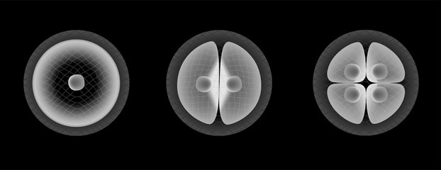 stem cell part 1 vector © gritsalak