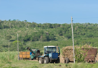 Serie Kuba Reportage - Zuckerrohrernte auf dem Feld mit Traktor und Zuckerrohr Mähdrescher in Santa Clara Kuba