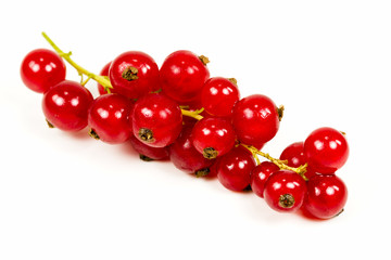 fresh redcurrant isolated on white background