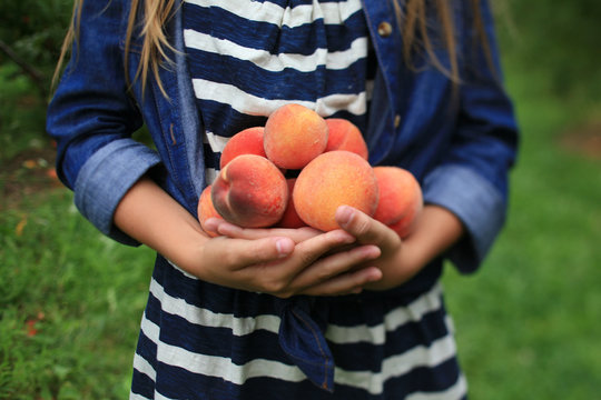 Holding Peaches