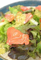 salmon and vegetables