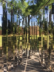 Fototapeta premium Arbre Miroirs 
