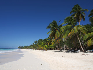 tropical island beach