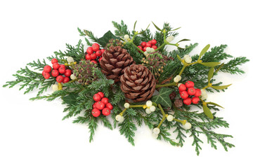 Winter and christmas decoration with holly, mistletoe, ivy, cedar cypress and juniper leaf sprigs and pine cones on white background.